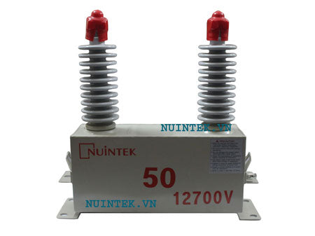 Tụ trung áp 12.7kV, 50kVar