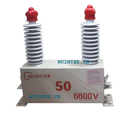 Tụ trung áp 6.6kV, 50kVar