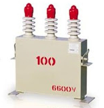 Tụ trung thế 100kVAr 6.6kV