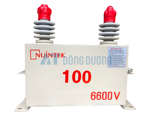 Tụ trung áp 6.6kV, 100kVar